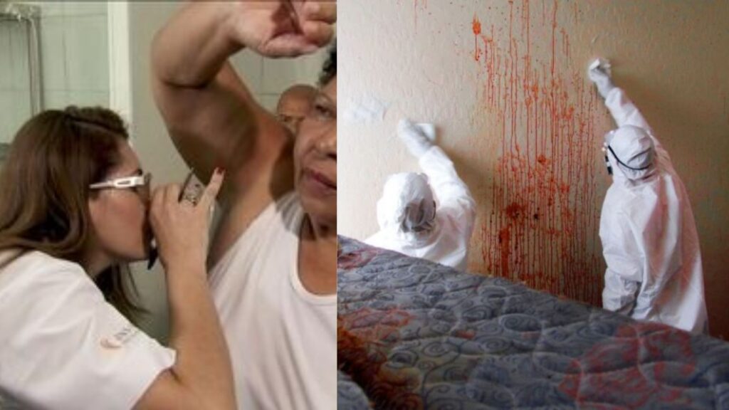 profissões bizarras