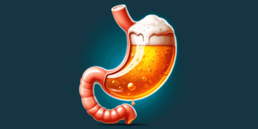 fermentação intestinal