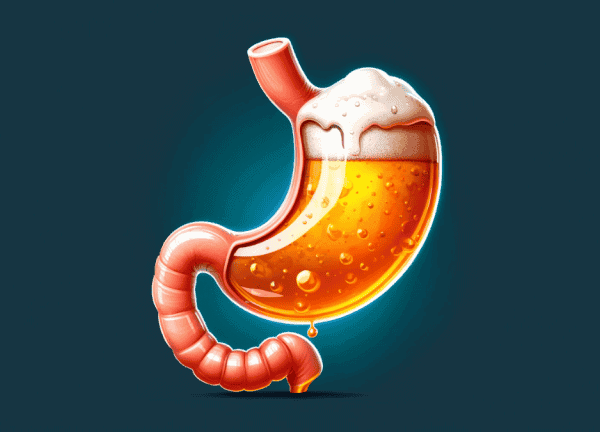 fermentação intestinal