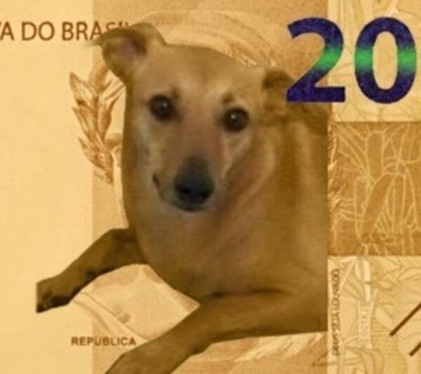 nota de 200 reais