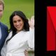 Harry e Meghan abraçados sob um fundo verde à esquerda e o logotipo da Netflix sob um frundo preto à direita