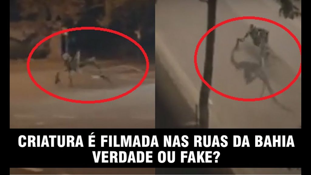 imagens iguais as do alien no parque do cocó, que mostram uma estranha criatura andando pelas ruas, porém com uma chamada de que teria sido visto na Bahia