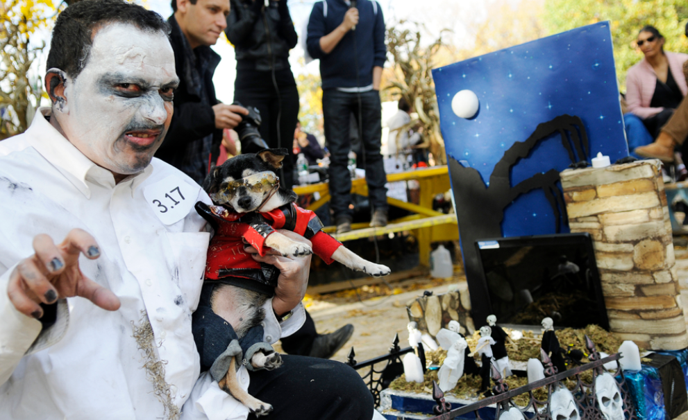 cachorros fantasiados