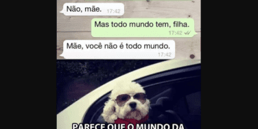 conversas de Whatsapp