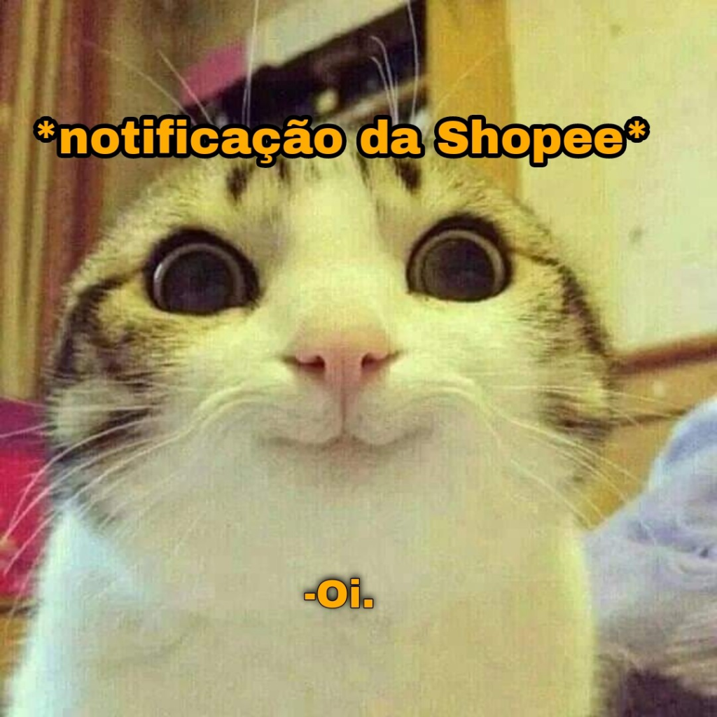 memes da Shopee