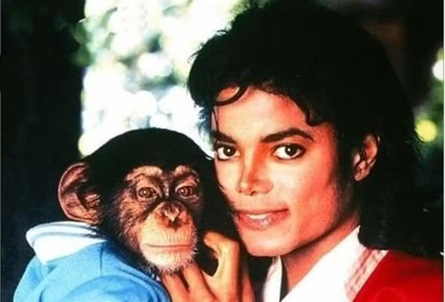 chimpanzé Michael Jackson