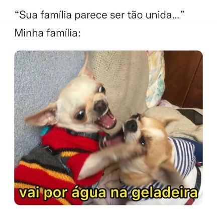 memes família