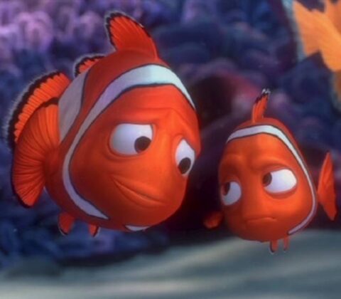 erro Procurando Nemo