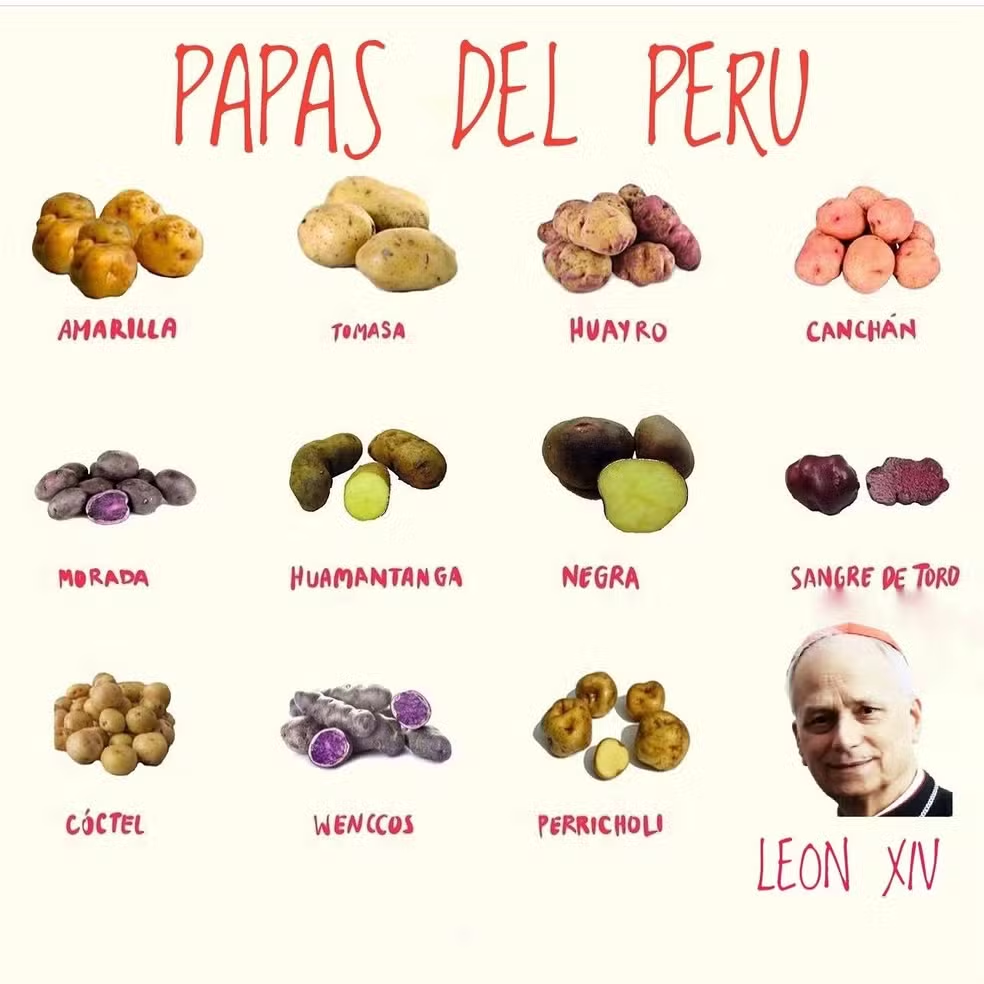 novo papa