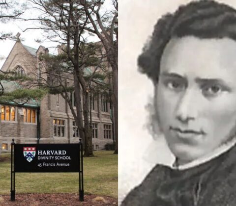 primeiro brasileiro Harvard