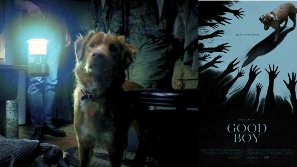 Good Boy