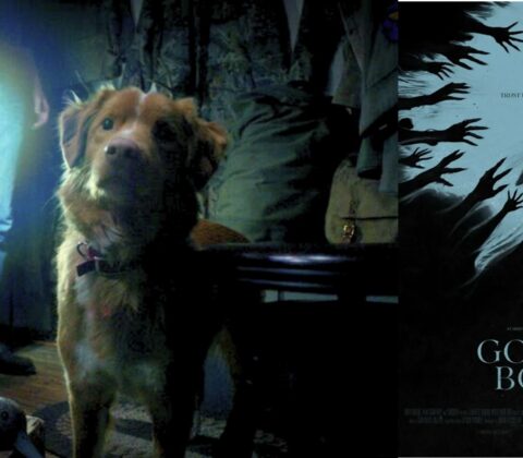 Good Boy