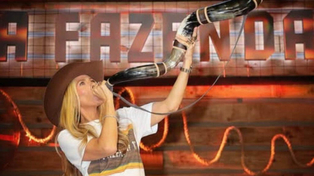 A Fazenda 17