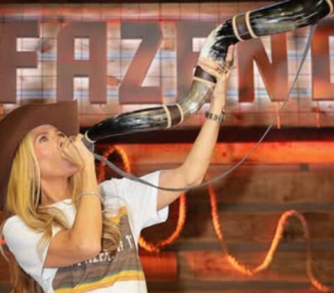 A Fazenda 17