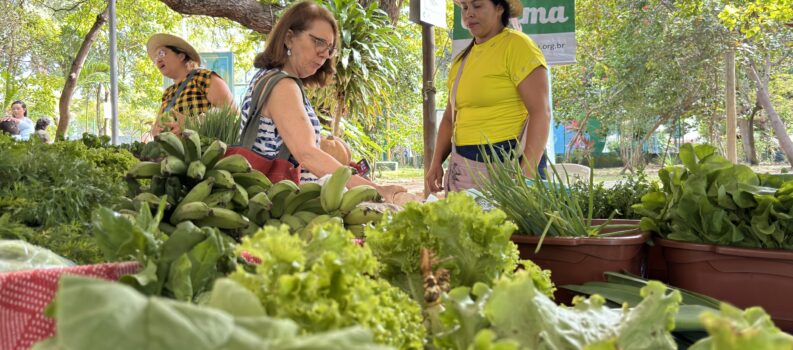 Feira Agroecológica do Cocó Adahil Barreto tem edição especial de Natal neste sábado (20)!